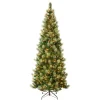 Clearance National Tree Company First Traditions Pre-Lit Charleston Pine Snowy Slim Christmas Tree, Clear Incandescent Lights, Plug In, 9 Ft