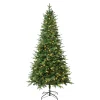 Shop National Tree Company First Traditions Pre-Lit Duxbury Christmas Tree With Hinged Branches, Warm White Led Lights, Plug In, 7.5 Ft