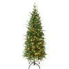 First Traditions Pre-Lit Duxbury Slim Christmas Tree With Hinged Branches, Warm White Led Lights, Plug In, 4.5 Ft^National Tree Company Shop