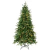 Store National Tree Company First Traditions Pre-Lit Duxbury Christmas Tree With Hinged Branches, Warm White Led Lights, Plug In, 6 Ft