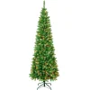 Sale National Tree Company First Traditions Pre-Lit Rowan Pencil Slim Christmas Tree, Multicolor Incandescent Lights, Plug In, 7.5 Ft