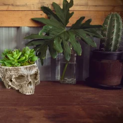 Cheap National Tree Company Halloween Half Skull Flower Pot, White, Hand Crafted, 6 Inches