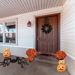 Shop National Tree Company Halloween Pre Lit Animated Crawling Spider, Black, Sound Activated, Led Lights, Battery Operated, 63 Inches