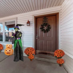 Online National Tree Company Halloween Pre Lit Animated Wicked Witch, Black, Sound Activated, Led Lights, Battery Operated, 6 Feet