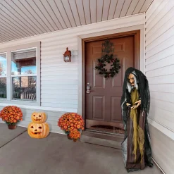 Flash Sale National Tree Company Halloween Pre Lit Animated Scary Old Witch, Brown, Sound Activated, Led Lights, Battery Operated, 63 Inches