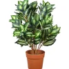 Fashion National Tree Company 30"Hosta Plant In Brown Round Growers Pot
