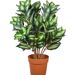 Fashion National Tree Company 30"Hosta Plant In Brown Round Growers Pot
