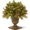 Fashion National Tree Company 18In Frosted Berry Porch Bush With Clear Lights