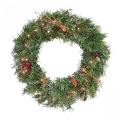 Flash Sale National Tree Company 24" Glistening Pine Prelit Wreath