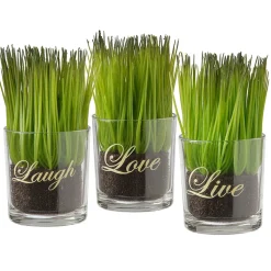 Artificial Potted Plant Set, Green Plant Sprouts, Square Glass Pot Base With Messages, Pack Of 3, Spring Collection, 6 Inches Each^National Tree Company Hot