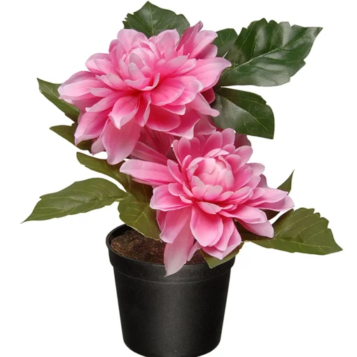 Artificial Potted Flowers, Pink Dahlias, Includes Black Pot Base, Spring Collection, 7 Inches^National Tree Company Best Sale