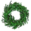 Artificial Wreath Decoration, Green, Lightweight Foam Base, Decorated With Boxwood Flowers, Flowing Green Stems, Spring Collection, 18 Inches^National Tree Company Fashion
