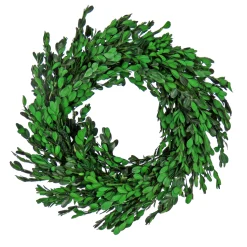 Artificial Wreath Decoration, Green, Lightweight Foam Base, Decorated With Boxwood Flowers, Flowing Green Stems, Spring Collection, 18 Inches^National Tree Company Fashion