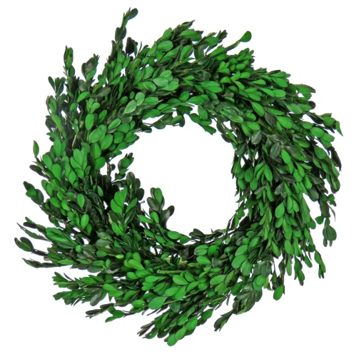 Artificial Wreath Decoration, Green, Lightweight Foam Base, Decorated With Boxwood Flowers, Flowing Green Stems, Spring Collection, 18 Inches^National Tree Company Fashion