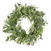 Artificial Wreath Decoration, Green, Woven Branch Base, Decorated With Eucalyptus Leaves, Flowing Green Stems, Spring Collection, 22 Inches^National Tree Company Best Sale