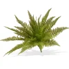 Artificial Fern Bush, Stem Vine Base, Spring Collection, 21 Inches^National Tree Company Online