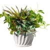 Artificial Potted Plant, Decorated With Ivy, Snake Plants, Leafy Greens, Includes White Ceramic Base, Spring Collection, 11 Inches^National Tree Company Cheap