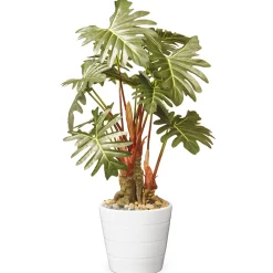 Artificial Potted Plant Decoration, Philodendron, Includes White Ceramic Pot, Spring Collection, 21 Inches^National Tree Company Best