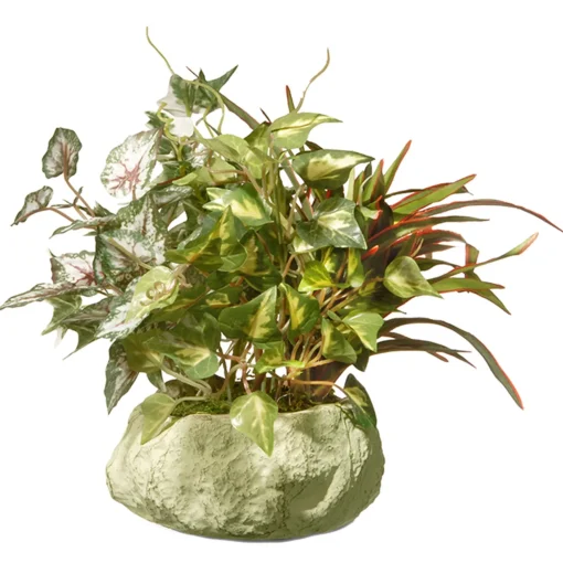 Artificial Potted Plant, Decorated With Ivy, Snake Plants, Leafy Greens, Includes Rock Ceramic Base, Spring Collection, 10 Inches^National Tree Company Cheap