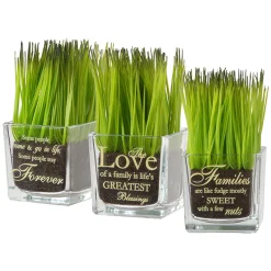 Artificial Potted Plant Set, Green Plant Sprouts, Square Glass Pot Base With Messages, Pack Of 3, Spring Collection, 7 Inches Each^National Tree Company Cheap