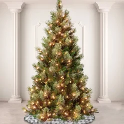 Sale National Tree Company First Traditions Collection, 9Ft Charleston Pine Hinged Tree, 600 Clear Lights- Ul