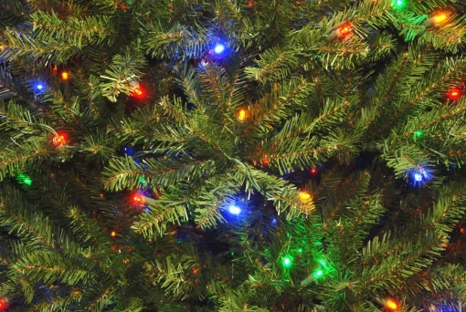 Flash Sale National Tree Company Pre-Lit Artificial Full Christmas Tree, Green, Dunhill Fir, Dual Color Led Lights, Includes Stand, 7.5 Feet