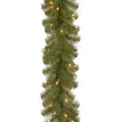 New National Tree Company Pre-Lit Artificial Christmas Garland, Green, North Valley Spruce, Dual Color Led Lights, Battery Operated, Christmas Collection, 9 Feet