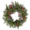Sale National Tree Company Pre-Lit Artificial Christmas Wreath, Green, Bristle Berry Pine, White Lights, Decorated With Frosted Branches, Pine Cones, Berry Clusters, Christmas Collection, 24 Inches
