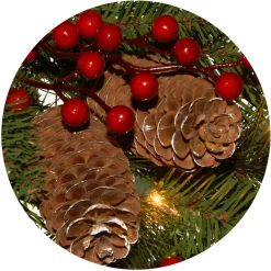 Sale National Tree Company Pre-Lit Artificial Christmas Wreath, Green, Bristle Berry Pine, White Lights, Decorated With Frosted Branches, Pine Cones, Berry Clusters, Christmas Collection, 24 Inches