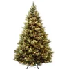 Shop National Tree Company Pre-Lit 'Feel Real' Artificial Full Christmas Tree, Green, Carolina Pine, Clear Lights, Flocked With Pine Cones, Includes Stand, 6.5 Feet