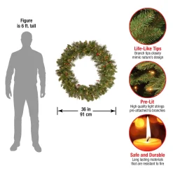 Shop National Tree Company Pre-Lit Artificial Christmas Wreath, Green, Crestwood Spruce, White Lights, Decorated With Pine Cones, Berry Clusters, Frosted Branches, Christmas Collection, 36 Inches