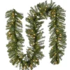 Sale National Tree Company Pre-Lit Artificial Christmas Garland, Green, Norwood Fir, White Lights, Plug In, Christmas Collection, 9 Feet