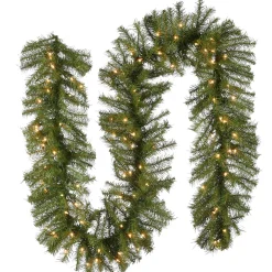 Sale National Tree Company Pre-Lit Artificial Christmas Garland, Green, Norwood Fir, White Lights, Plug In, Christmas Collection, 9 Feet