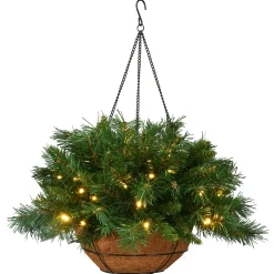 Cheap National Tree Company Pre-Lit Artificial Christmas Hanging Basket, Tiffany Fir, Decorated With Frosted Pine Cones, Berry Clusters, White Lights, Christmas Collection, 20 Inches
