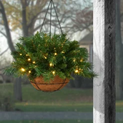 Cheap National Tree Company Pre-Lit Artificial Christmas Hanging Basket, Tiffany Fir, Decorated With Frosted Pine Cones, Berry Clusters, White Lights, Christmas Collection, 20 Inches