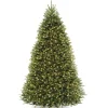 Cheap National Tree Company Pre-Lit Artificial Full Christmas Tree, Green, Dunhill Fir, Clear Lights, Includes Powerconnect And Stand, 9 Feet
