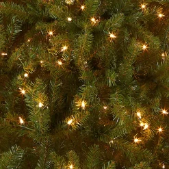 Cheap National Tree Company Pre-Lit Artificial Full Christmas Tree, Green, Dunhill Fir, Clear Lights, Includes Powerconnect And Stand, 9 Feet
