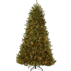 Cheap National Tree Company Pre-Lit Artificial Full Christmas Tree, Green, Dunhill Fir, Clear Lights, Includes Powerconnect And Stand, 9 Feet