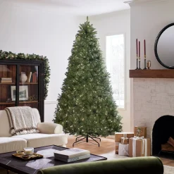 Cheap National Tree Company Pre-Lit Artificial Full Christmas Tree, Green, Dunhill Fir, Clear Lights, Includes Powerconnect And Stand, 9 Feet