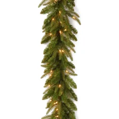Discount National Tree Company Pre-Lit 'Feel Real' Artificial Christmas Garland, Green, Frasier Grande, White Lights, Plug In, Christmas Collection, 9 Feet