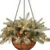Fashion National Tree Company Pre-Lit 'Feel Real' Artificial Christmas Hanging Basket, Arctic Spruce, Decorated With Frosted Pine Cones, White Lights, Christmas Collection, 20 Inches