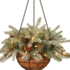 Fashion National Tree Company Pre-Lit 'Feel Real' Artificial Christmas Hanging Basket, Arctic Spruce, Decorated With Frosted Pine Cones, White Lights, Christmas Collection, 20 Inches