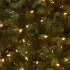 Best National Tree Company Pre-Lit Artificial Full Christmas Tree, Green, Dunhill Fir, Dual Color Led Lights, Includes Stand, 7.5 Feet