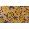 Welcome Entrance Mat, Brown, Lemon Theme, Spring Collection, 30 Inches^National Tree Company Flash Sale