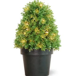 Pre-Lit 18" Artificial Boxwood Tree^National Tree Company Hot