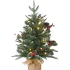 Pre-Lit Artificial Christmas Tree, Happy Hill Pine, With Warm White Led Lights, Plug In, 2 Ft^National Tree Company Hot