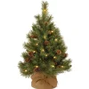 Shop National Tree Company Pre-Lit Artificial Christmas Tree, Green, Pine Cone, White Led Lights, Includes Cloth Bag Base, Battery Operated, 3 Feet