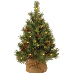 Shop National Tree Company Pre-Lit Artificial Christmas Tree, Green, Pine Cone, White Led Lights, Includes Cloth Bag Base, Battery Operated, 3 Feet