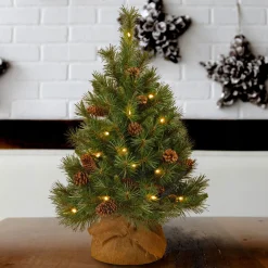 Shop National Tree Company Pre-Lit Artificial Christmas Tree, Green, Pine Cone, White Led Lights, Includes Cloth Bag Base, Battery Operated, 3 Feet