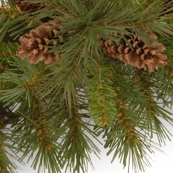 Shop National Tree Company Pre-Lit Artificial Christmas Tree, Green, Pine Cone, White Led Lights, Includes Cloth Bag Base, Battery Operated, 3 Feet